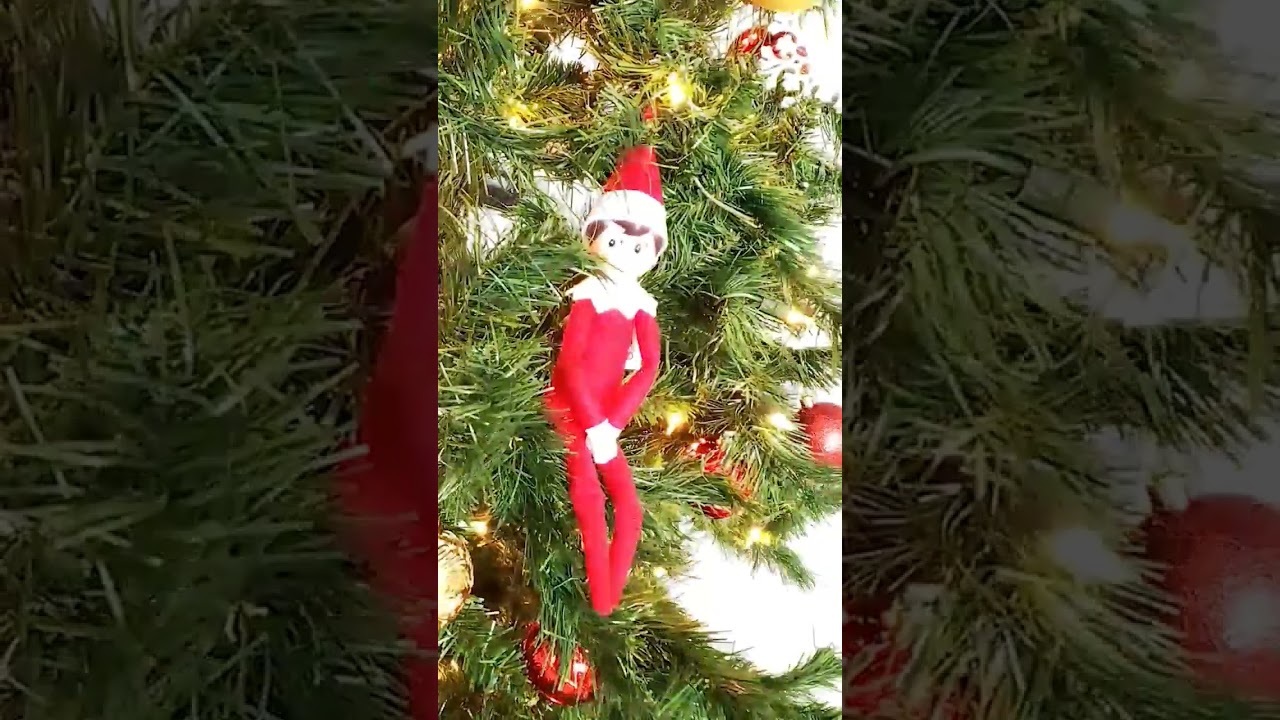 Elf on the Shelf Jumps on Christmas Tree! 