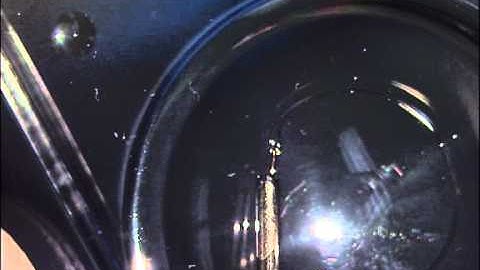 Loading an OPHTEC™ Capsular Tension Rings Inserter