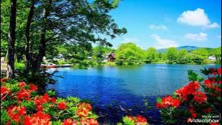 Mere Mehboob Meri Jaan (Eagle Gold Jhankar) Movie: PAAYAL 1992 Singers: KUMAR SANU & SADHNA SARGAM