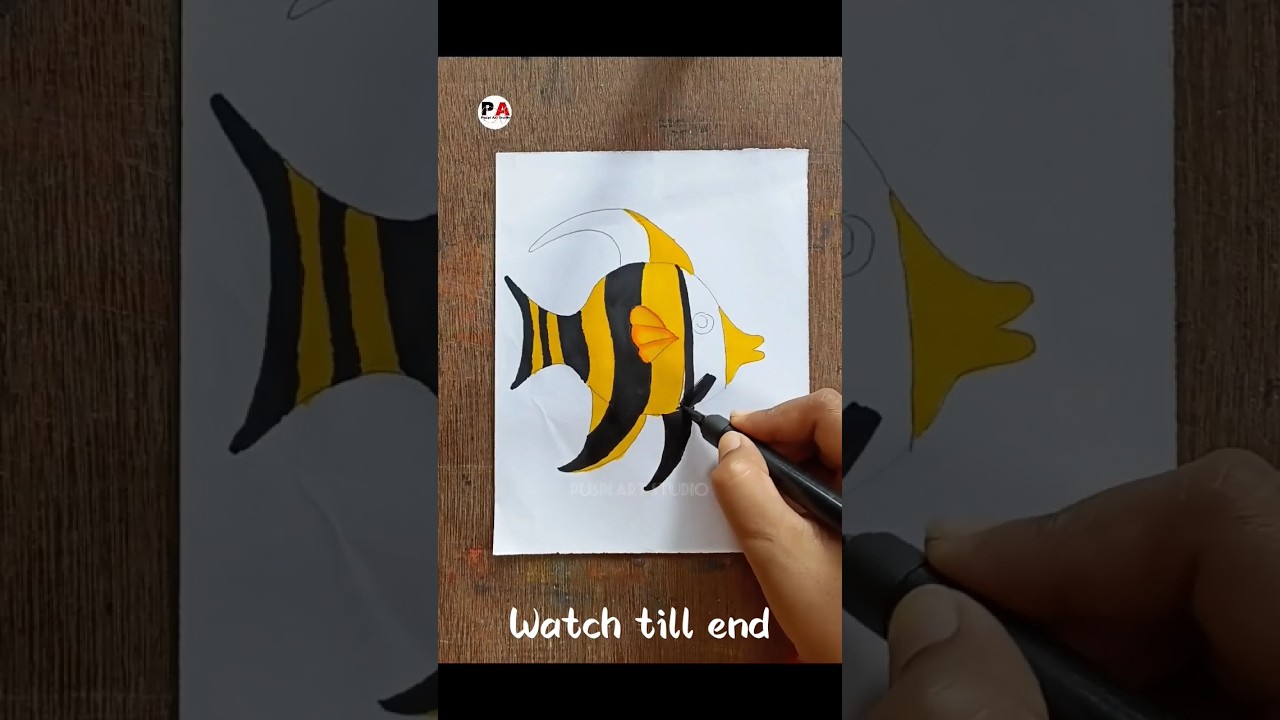 Fish Drawing colour |