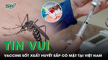 Vaccine sốt xuất huyết sắp có mặt tại Việt Nam | SKĐS