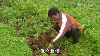 【農夫與他的田】20150504 - 復耕半農自足樂