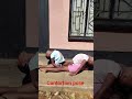 welcome back to our contortion and gymnastics team