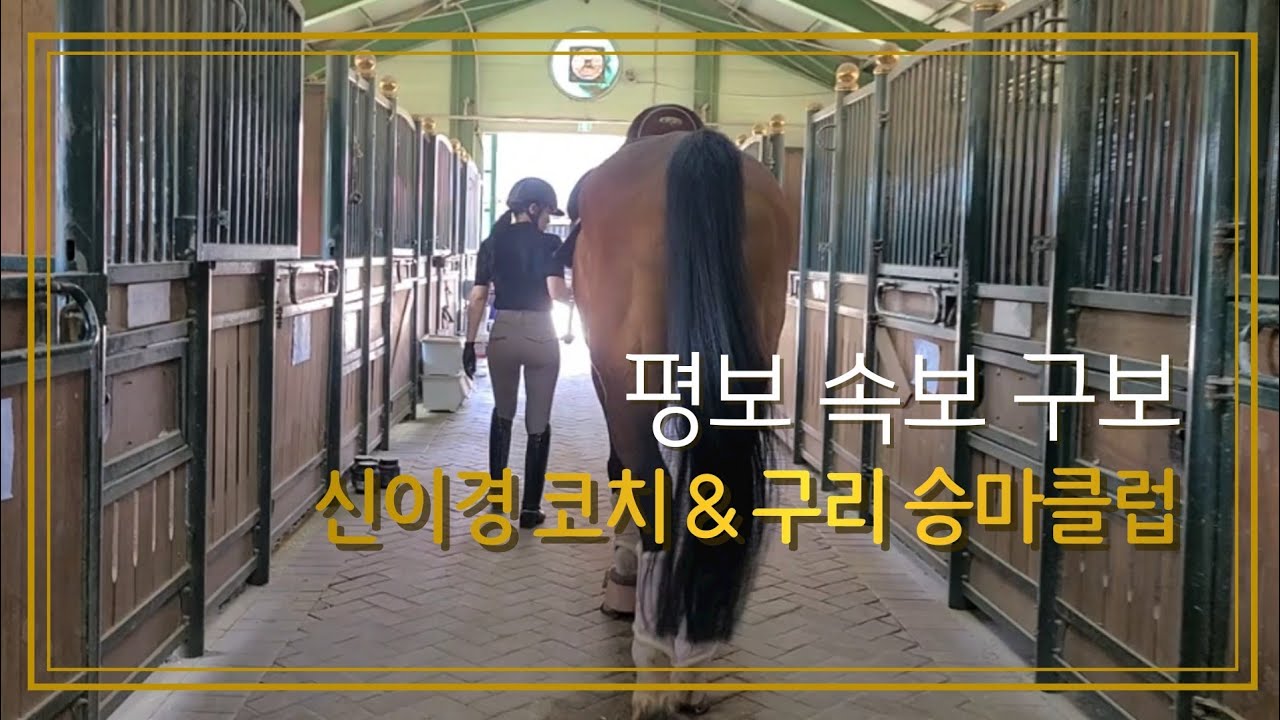 [승마] 신이경 코치 & 구리 승마클럽 | 평보 경속보 좌속보 구보 | DK Horse | 기승일기 | Y♡U 당신이 주인공 | 마장마술 | Horse Riding