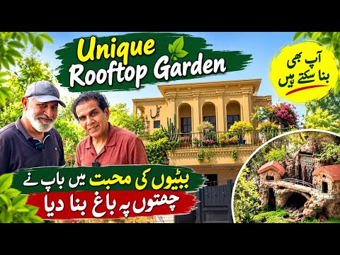 Amazing Rooftop Garden by a Pakistani #rooftop #gardeningtips #gardeningideas 