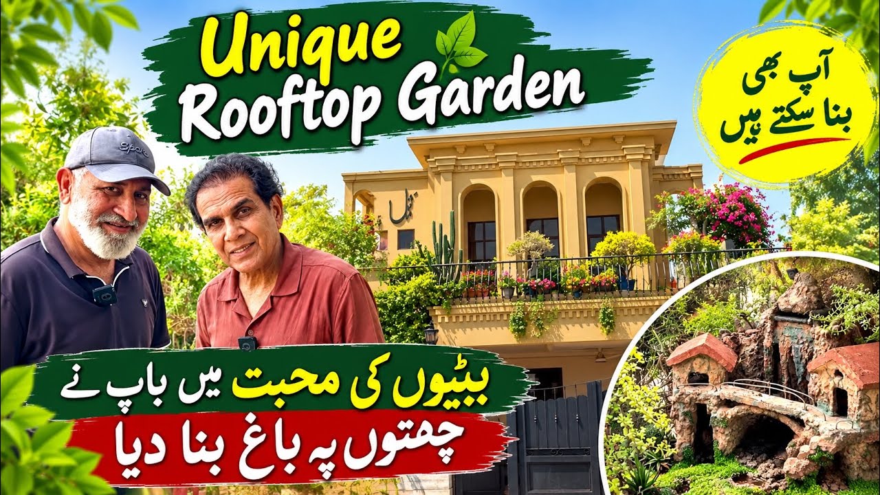 Latest Title & Thumbnail