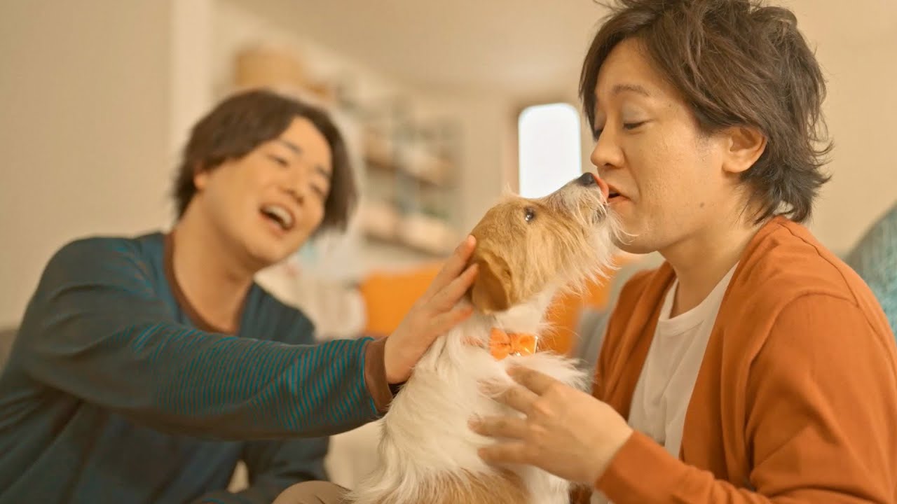 ぺこぱ松陰寺の愛犬 のすけ が初cm シュウペイが初アフレコ レアなオフ姿も公開 ドッグフード このこのごはん Cm メイキング インタビュー Youtube