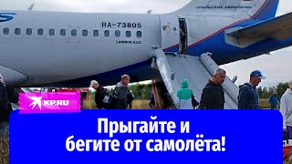 Экипаж рейса U6-1383, посадивший лайнер посреди поля: Прыгайте и бегите от самолёта!