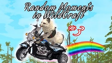 WildCraft (Random Moments #3) |Stupid and old video SORRY|