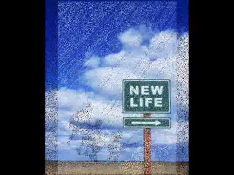 Autodestruction - Not In Forces Autodestruction - Not In Forces
