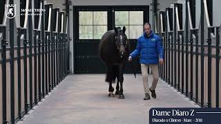 Dame Diaro Z in foal to Aganix du Seigneur Z