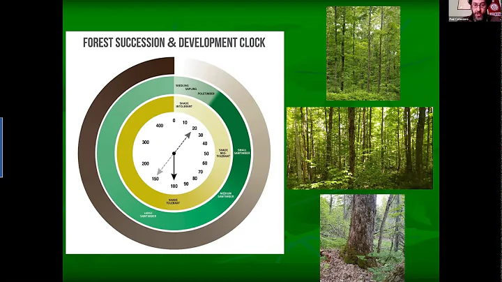 Forest Carbon Management and Climate Adaptation