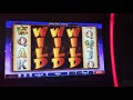 Insane win wild life extreme slot machine bonus game