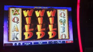 INSANE WIN Wild Life Extreme Slot Machine bonus game!!! screenshot 5