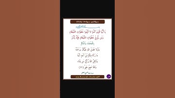 سورة النور - سورة 24 - اية (21)