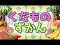 【写真図鑑】くだもの図鑑★世界中の果物が大集合！