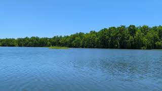 Sitting by the Lake [ Sunny Day Ambience ] Real Life