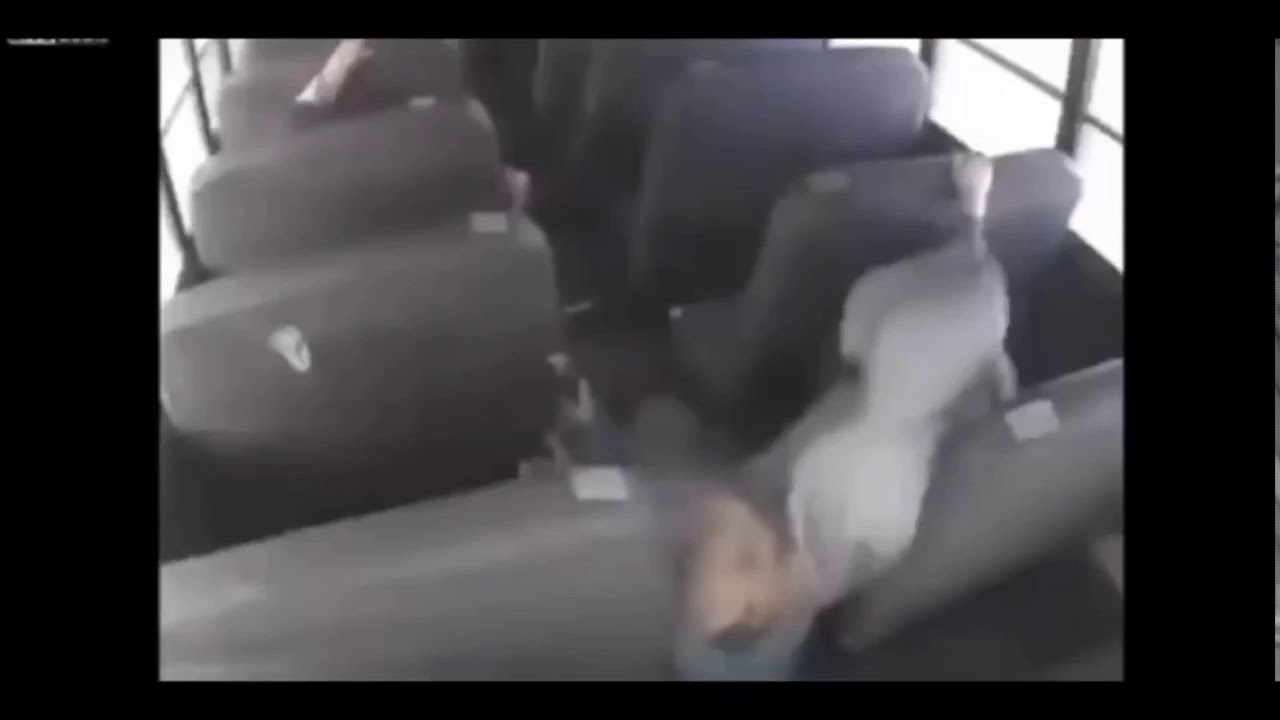 Please let this be a normal field trip meme compaltion YouTube