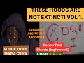 These hoods are not extinct vol 1