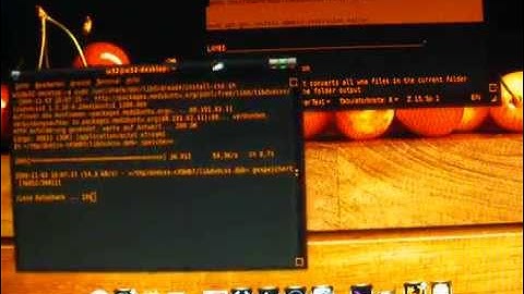 Ubuntu 9.10 Koala Karmic Terminal... Encoding Lames