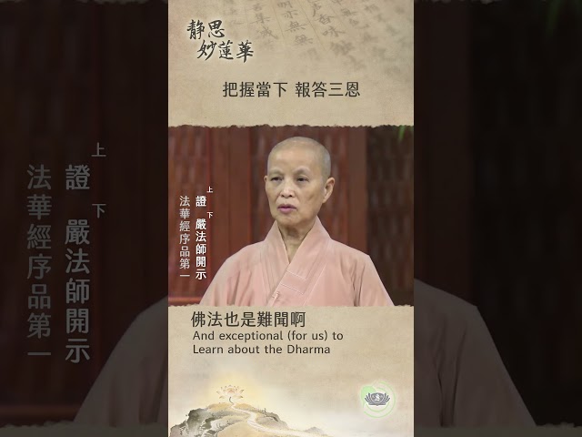 🏯【靜思妙蓮華｜第83集：把握當下 報答三恩】