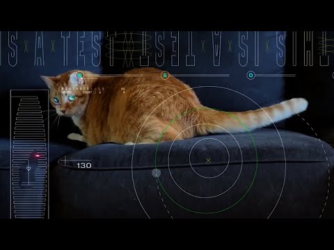 Pew pew! NASA beams cat video 19 million miles through space using a laser