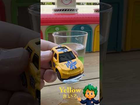 あったかい おゆで ミニカーの 色が かわる！？🚗✨