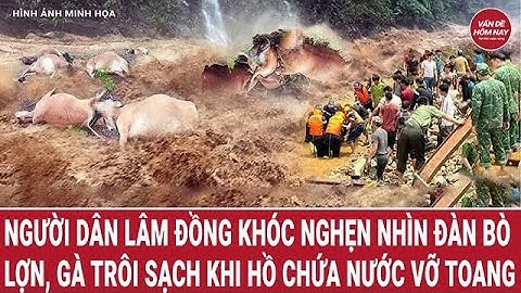 Người dân Lâm Đồng khóc nghẹn nhìn cả đàn bò, lợn, gà trôi sạch khi hồ chứa nước vỡ toang