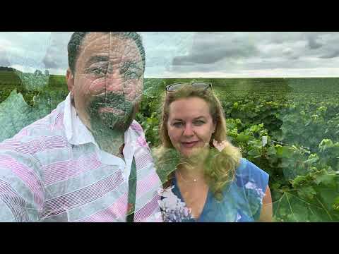 Видео: Chablis-2!Шабли-2!France! Лучшие вина! Мы в виноградниках! Невероятный вкус! Франция! Август - 2023!