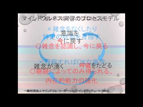 マインドフルネストレーニングの方法(一般社団法人マインドフルリーダーシップインスティテュート）