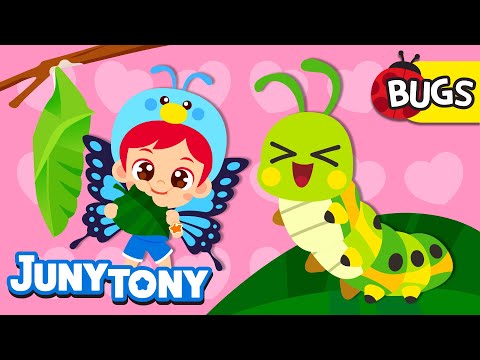 🐛Caterpillar to Butterfly🦋