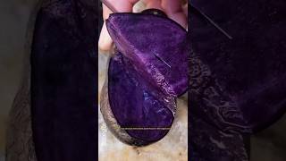 Nature's Secrets Inside Fruits! 😱 Hardcore Botany ASMR #fruit #nature #shorts