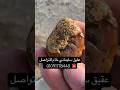 حجر سليماني خام من أغلى الأحجار اللي ممكن تلاقيها في الصحراء احجار كريمة As Stones Stones حجر سليماني خام من أغلى الأحجار اللي ممكن تلاقيها في الصحراء احجار كريمة As Stones Stones