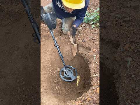 Amazing Found Treasure