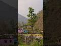 maldevta dehradun #viral #facts #trending #hills #dehradun #shorts