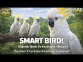 THIS BIRD IS SMARTER THAN YOU THINK!