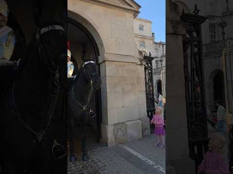 "Excuse me! Can I give an apple to your horse?"Guard - "You can't, I'm afraid, sorry!" #horseguards