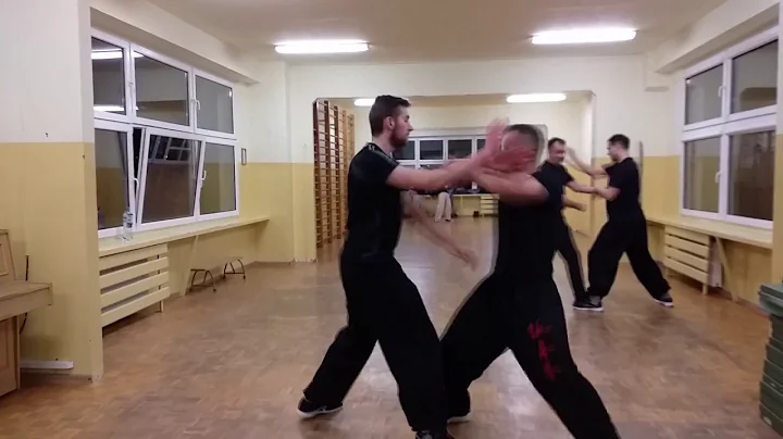Wing Chun Kung Fu Toru