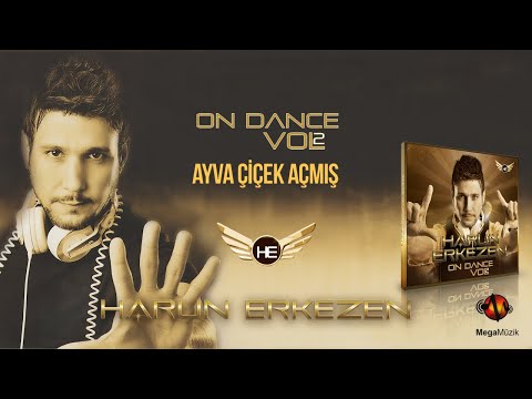 Harun Erkezen Ft. Babutsa -İnusa Dawuda - Ayva Çiçek Açmış - Official Audio