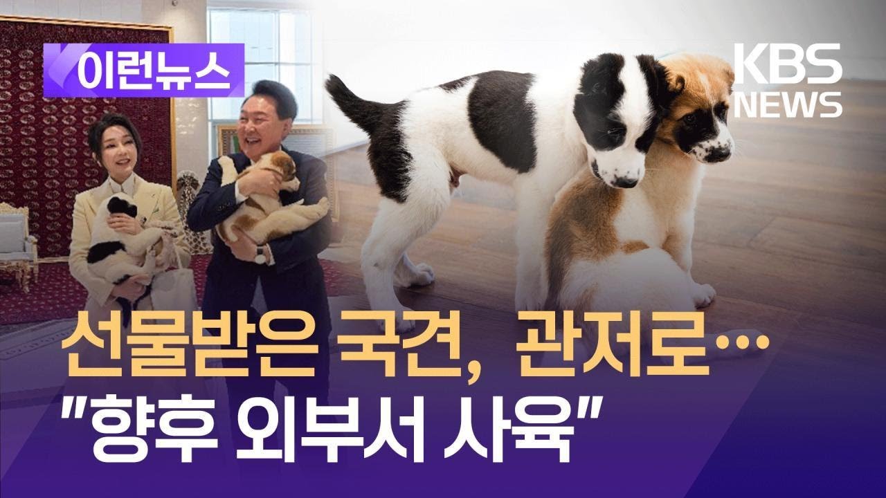 [이런뉴스] 선물받은 국견 알라바이 2마리 입국…“관저로 이동” / KBS 2024.06.20.