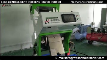 Use black bean color sorter to sorting black beans according to color