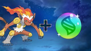 What if Ash Infernape Had Mega Evolution | Pokemon Mega Evolution Fusion 🧬🤯 | | AnimeXin |