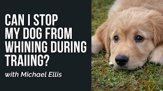 Can I Stop My Dog From Whining During Training? with Michael Ellis