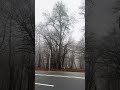 Nature🏝️🛣️#uploadyoutubeshorts#trendingshorts#vlogshorts