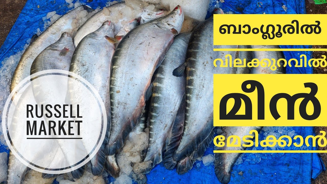 Fish market Russell market Shivajinagar YouTube