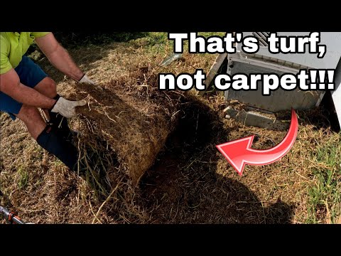 What the?! Epic turf peel to expose a hidden patio!