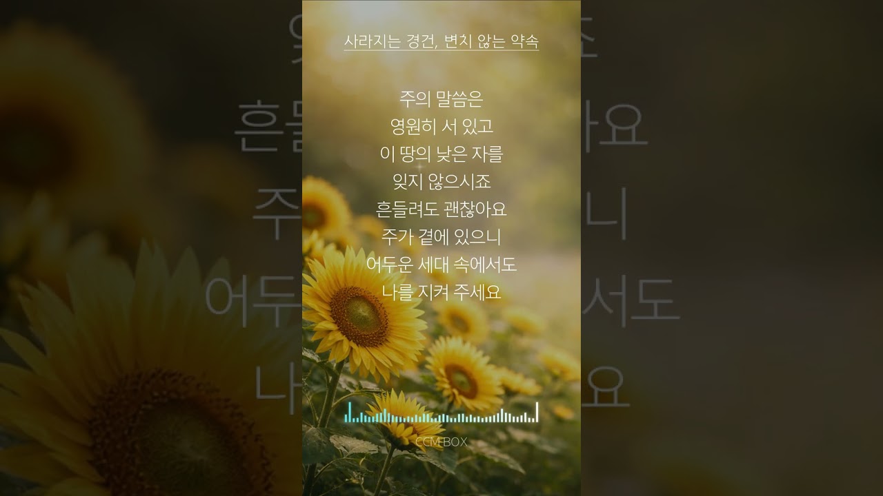 시편 12편 (흔들리지 않는 약속) 영상 아래 [더보기]란을 확인해 보세요! 곡에 대한 해설이 적혀 있습니다. CCM ㅣ CCM찬양모음 ㅣ 시편CCM