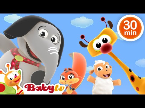 Humpty Dumpty Plus De Chansons Et Comptines Pour Enfants Soirée Dansante Avec BabyTVFR