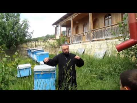 პატარა მკვლევარები 1