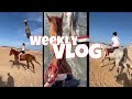 Weekly vlog en gypte partie 1